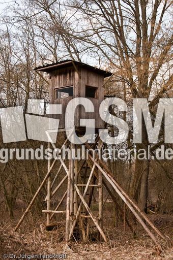 Hochstände (121 von 154).jpg